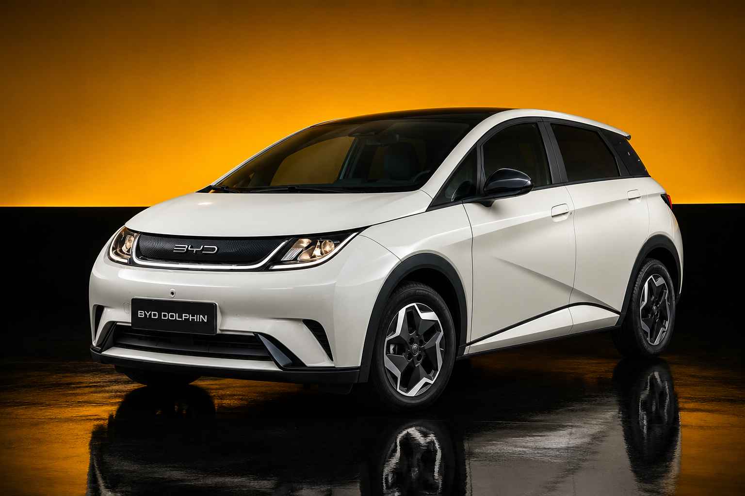 Byd Dolphin