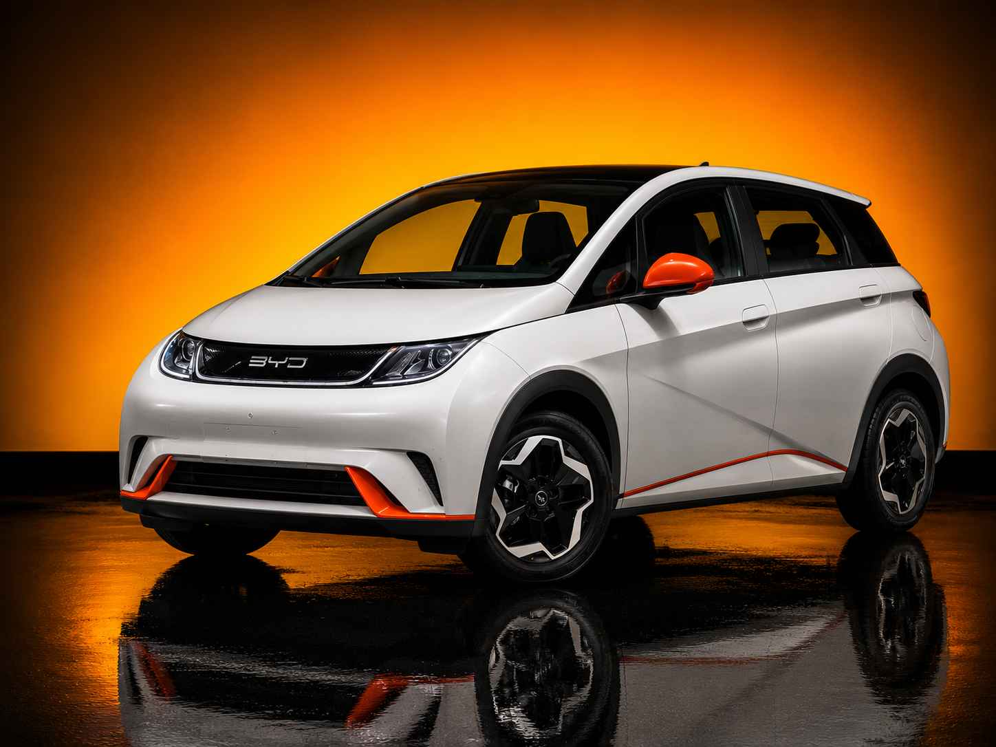 Byd Seagull